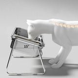 Maxbell Elevated Cat Bowl Stainless Steel Raised Cat Water Bowl for Small Dogs Puppy