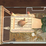 Maxbell Acrylic Aquarium Canopy Convenient Clear for Aquariums without Center Braces 56x28cm