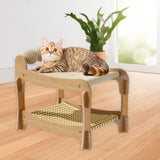 Maxbell Scratcher Bed with Play Balls Condo for Sleeping Resting for Indoor Cats