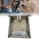 Maxbell Automatic Sheep Waterer Bowl Versatile Livestock Waterer for Goat Dog Cattle L 31cmx26cmx9.5cm