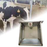 Maxbell Automatic Sheep Waterer Bowl Versatile Livestock Waterer for Goat Dog Cattle L 31cmx26cmx9.5cm