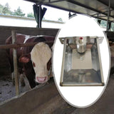 Maxbell Automatic Sheep Waterer Bowl Versatile Livestock Waterer for Goat Dog Cattle M 31cmx26cm