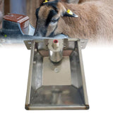 Maxbell Automatic Sheep Waterer Bowl Versatile Livestock Waterer for Goat Dog Cattle M 31cmx26cm