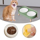 Maxbell Raised Cat Bowls with Stand Feeding Station Pet Feeder Elevated Cat Bowl Set Green