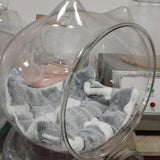 Maxbell Easy Clean Cat House Breathable Transparent Space Capsule Cat Bed for Kitten