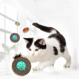 Maxbell 3Pcs Cat Balls Attract and Engage Indoor Cats Interactive for Kitty Training