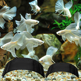 Maxbell 2 Pieces Aquarium Underground Tunnel Caves for Pleco Kuhli Loach Clown Loach