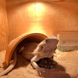 Maxbell Reptile Hide Ornament Decorative Turtle Hidden for Gecko Reptiles Amphibians L