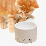 Maxbell Ceramic Cat Bowl Practical Stylish Stable Anti Slip Elevated Food Water Dish Flat