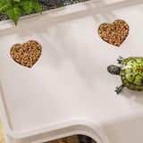 Maxbell Turtle Tank with Cover Reptile Habitat for Frog Bearded Dragon Small Reptile Small