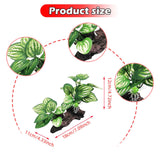 Maxbell Aquarium Plant Fish Tank Plants for Small Tank Landscaping Reptile Terrarium