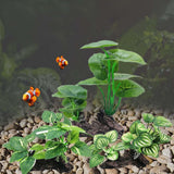 Maxbell Aquarium Plant Fish Tank Plants for Small Tank Landscaping Reptile Terrarium