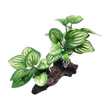 Maxbell Aquarium Plant Fish Tank Plants for Small Tank Landscaping Reptile Terrarium