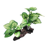 Maxbell Aquarium Plant Fish Tank Plants for Small Tank Landscaping Reptile Terrarium