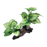 Maxbell Aquarium Plant Fish Tank Plants for Small Tank Landscaping Reptile Terrarium