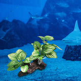 Maxbell Aquarium Plant Fish Tank Plants for Small Tank Landscaping Reptile Terrarium
