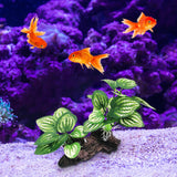 Maxbell Aquarium Plant Fish Tank Plants for Small Tank Landscaping Reptile Terrarium