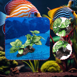 Maxbell Aquarium Plant Fish Tank Plants for Small Tank Landscaping Reptile Terrarium