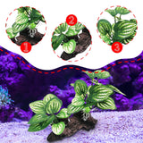Maxbell Aquarium Plant Fish Tank Plants for Small Tank Landscaping Reptile Terrarium