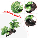 Maxbell Aquarium Plant Fish Tank Plants for Small Tank Landscaping Reptile Terrarium