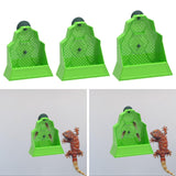 Maxbell Suction Cup Reptile Feeder Chameleons Lizards Snake Food Dish 13.2cmx5.5cmx13.7cm