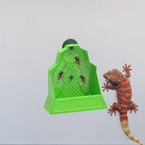 Maxbell Suction Cup Reptile Feeder Chameleons Lizards Snake Food Dish 15cmx6cmx16cm