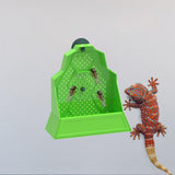 Maxbell Suction Cup Reptile Feeder Chameleons Lizards Snake Food Dish 17cmx7cmx18cm