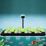 Maxbell 2Pcs Floating Aquarium Plant Cup Stand Aquarium Plant Holder for Cultivation