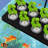 Maxbell 2Pcs Floating Aquarium Plant Cup Stand Aquarium Plant Holder for Cultivation