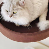 Cat Bed for Indoor Cats Desk Cat Nest Kitten Furniture Accessories Cat Perch
