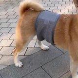 Maxbell Pet Dog Diaper Highly Absorbent Leakproof Cat Clothes for Small Dogs Supplie XL