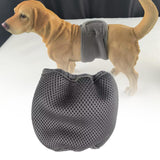 Maxbell Pet Dog Diaper Highly Absorbent Leakproof Cat Clothes for Small Dogs Supplie 2XL