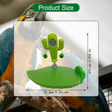 Maxbell Cactus Parrot Toy Chewing, Foraging, Resting for Lovebirds Parakeets Budgies