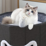 Maxbell Cat Beds for Indoor Cats Hanging Ball Hide and Seek for All Seasons Cat Cave