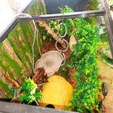 Maxbell Snake Climbing Enrichment Rings Habitat Reptile Tank Accessories White