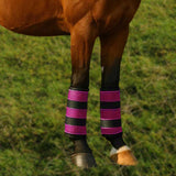 Maxbell 2Pcs Horse Fly Boots Large Breathable Fly Leggings for Jumping Sports Riding Pink