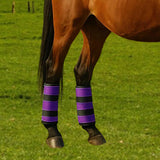 Maxbell 2Pcs Horse Fly Boots Large Breathable Fly Leggings for Jumping Sports Riding Purple