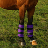 Maxbell 2Pcs Horse Fly Boots Large Breathable Fly Leggings for Jumping Sports Riding Purple