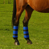Maxbell 2Pcs Horse Fly Boots Large Breathable Fly Leggings for Jumping Sports Riding Blue