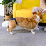 Maxbell Dog Poop Waste Collection Pant Waste Collection Bags for Senior Dogs Outdoor M