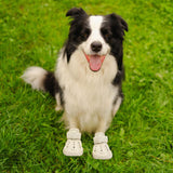 Maxbell 4 Pieces Dog Shoes EVA Anti Slip Dog Boots with Breathable Holes for Outdoor Size 5