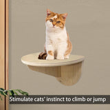 Maxbell Cat Wall Shelves Wall Steps Kitten Window Perch for Playing Sleeping Hopping