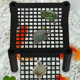 Maxbell Turtle Basking Platform Aquatic Reptile Ramp Dock Unique Stable Resting Area No Connecting Rod