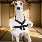 Maxbell Dog Costume Cute Cosplay Breathable Uniform for Dogs for Holiday Puppy Party L