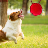 Maxbell Dog Toy Pet Supplies for Aggressive Chewers Small Medium Dog Red