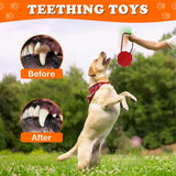 Maxbell Dog Toy Pet Supplies for Aggressive Chewers Small Medium Dog Red