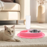 Maxbell Cat Feeder Feeding 2 in 1 Feeder and Waterer Set for Indoor Cats Bunny Puppy