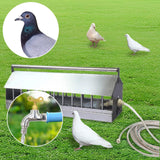 Maxbell Automatic Poultry Waterer Auto Water Dispenser for Peacock Goose Guinea Fowl 60cm
