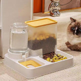 Maxbell Automatic Dog Cat Feeder 2 in 1 Feeder and Waterer Set for Small Animal Dogs