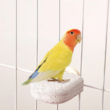 Maxbell Bird Beak Grinding Calcium Stone Perch Chewing for Lovebird Finches Squirrel L